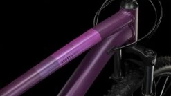 Cube Access WS Darkpurple´n´pink -Shimano Store Access WS darkpurple n pink 625100 3